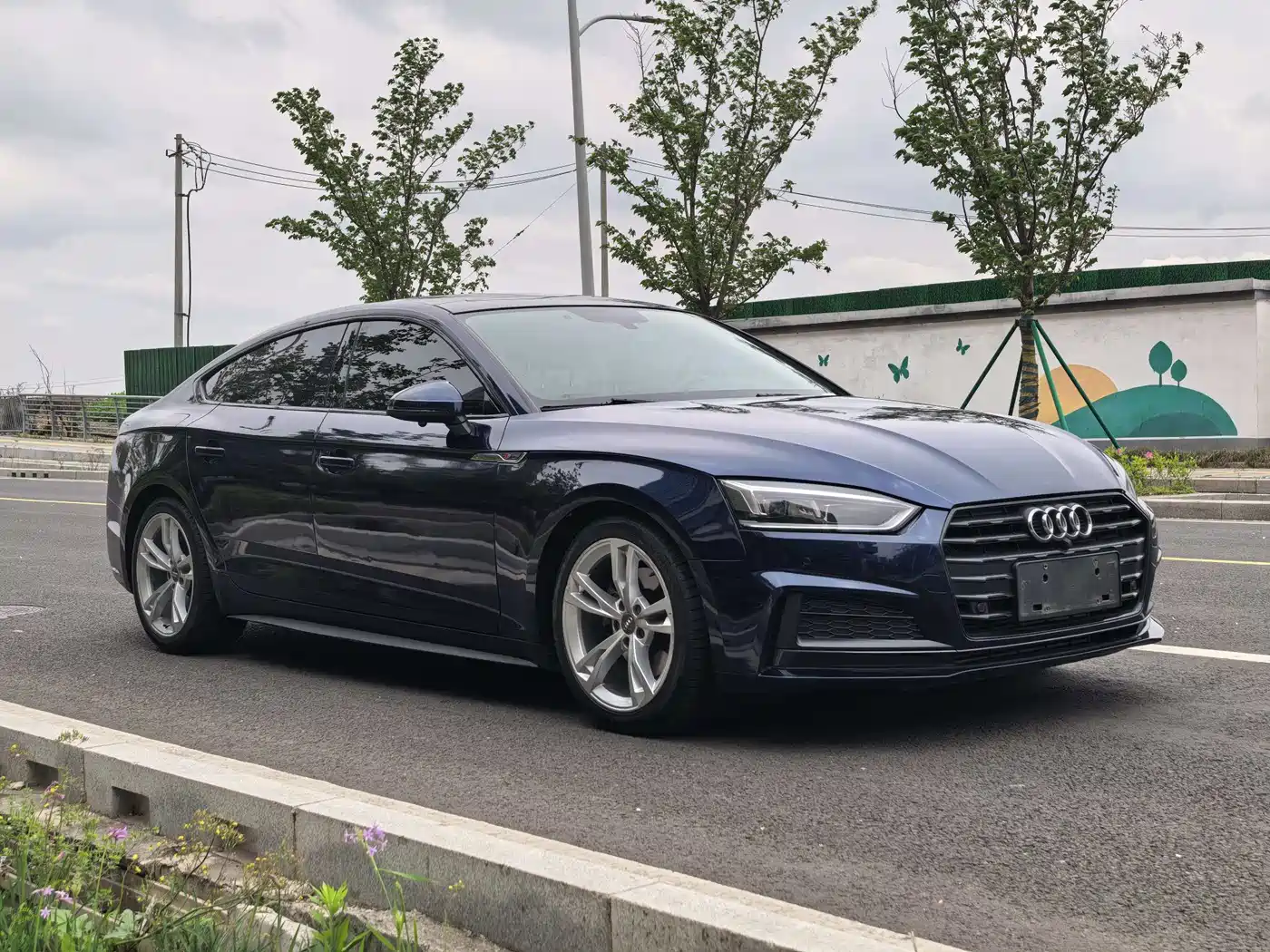 Audi A5 (Import) 2019 Sportback 40 TFSI Fashion фото 3