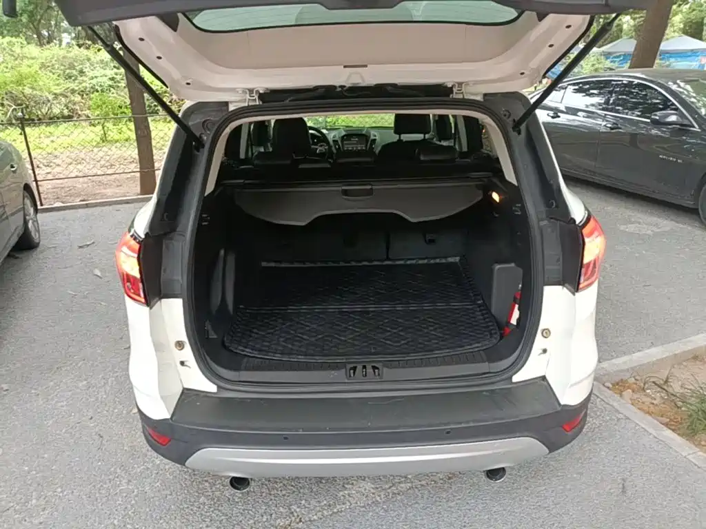 Ford Kuga 2017 2017 EcoBoost 180 2WD Tiger Leap
