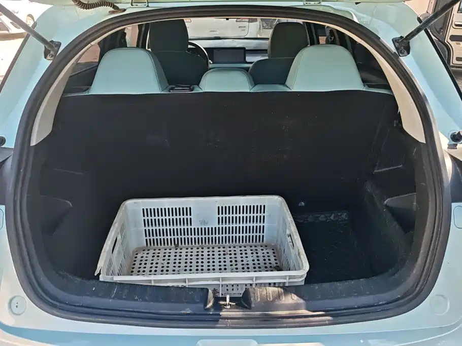 Geely Geometry E Firefly 2024 2024 401km Starlight