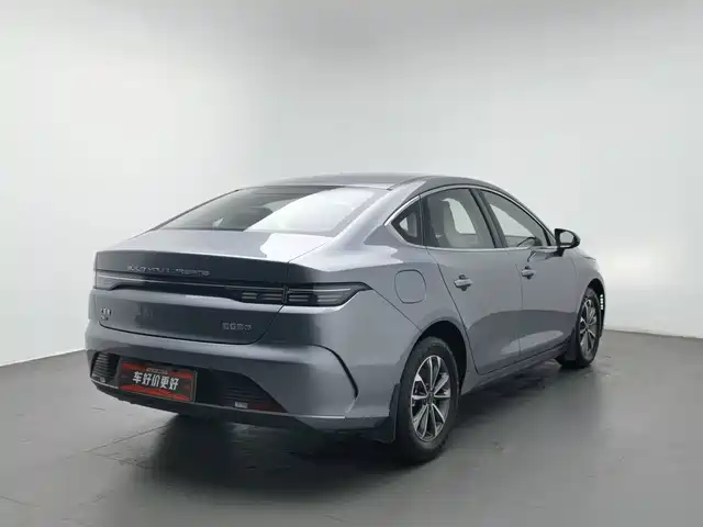 BYD Destroyer 05 2024 Glory Edition DM-i 55KM Luxury — фото 2