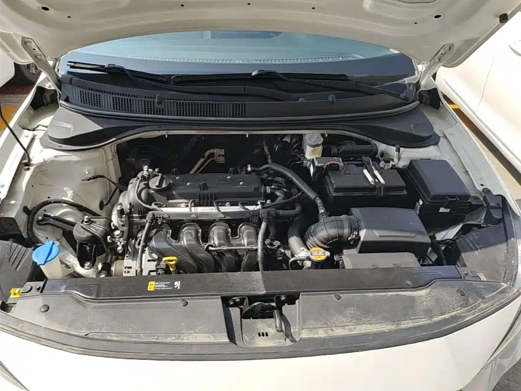 Hyundai Elantra 2018 1.6L Automatic Pleasing Edition GL China VI фото 20