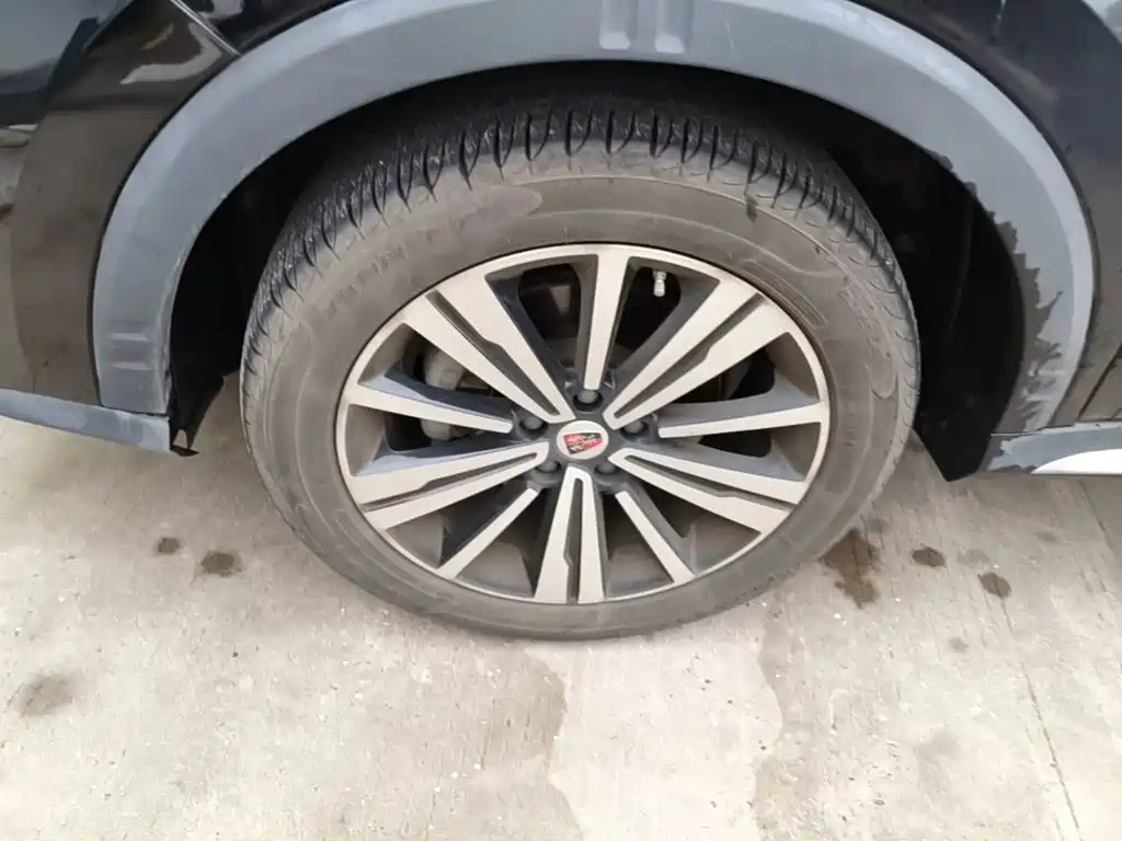 Фото 23 - Roewe RX5