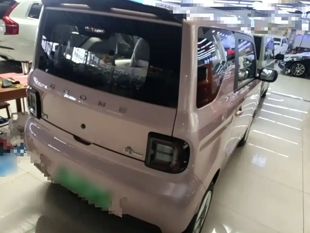Geely Galaxy Panda 2026 2025 Panda mini 210km Vitality Bear