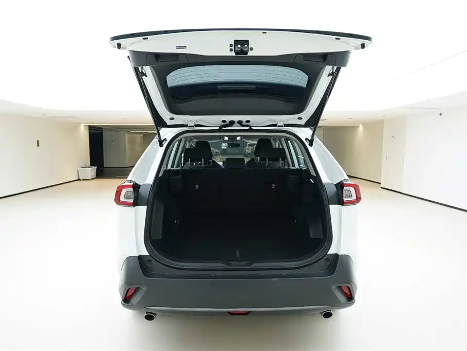 Toyota Wildlander 2023 2.0L CVT FWD LE фото 6