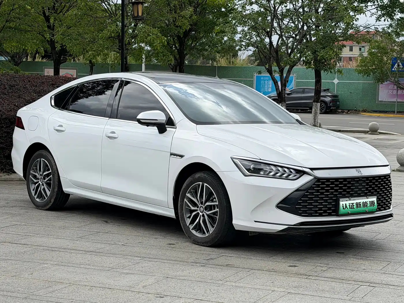 BYD Qin PLUS 2023 Champion Edition DM-i 120KM Leading Type фото 3
