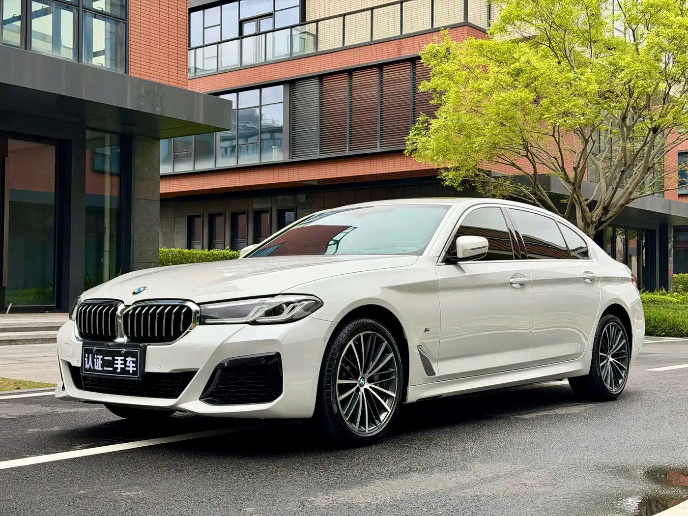 BMW 5 Series 2022 530Li Leading M Sport Package