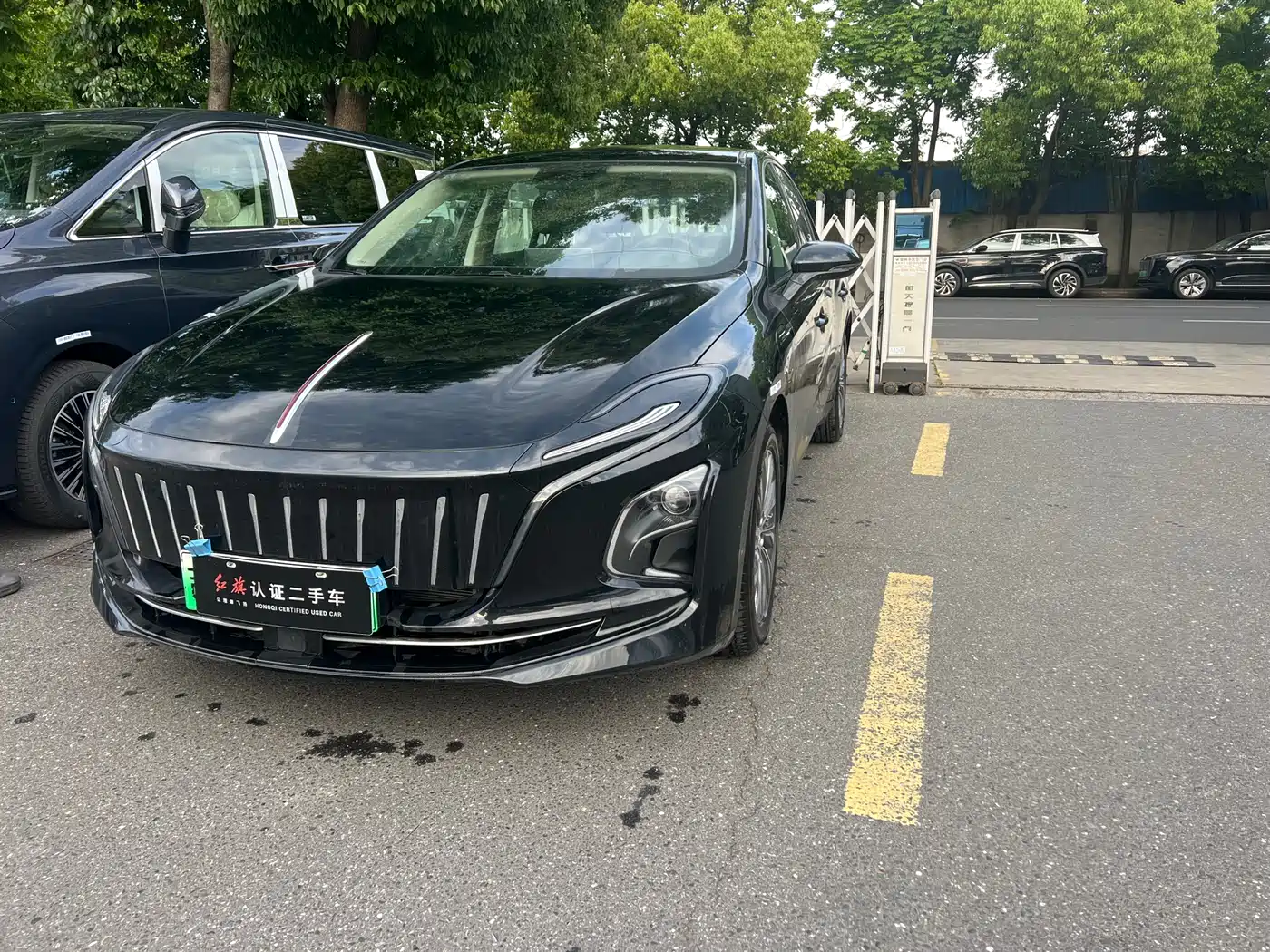 Hongqi E-QM5 2024 Model 450km Travel Edition