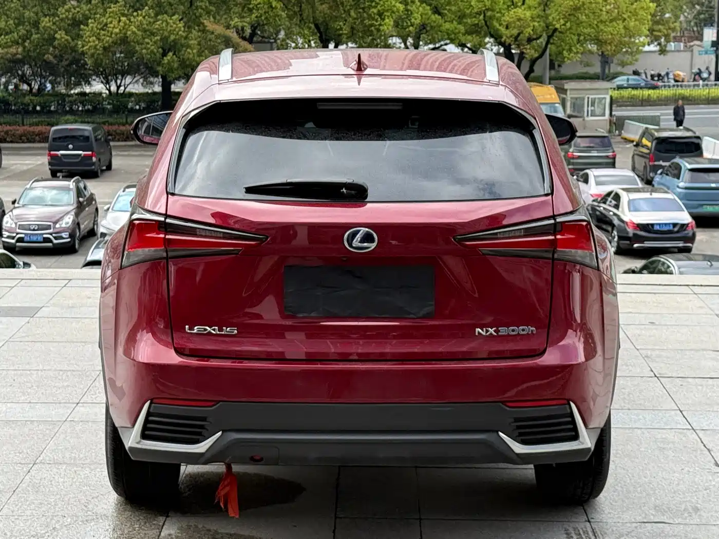 Lexus NX 2020 300h FWD F Sport China V фото 22