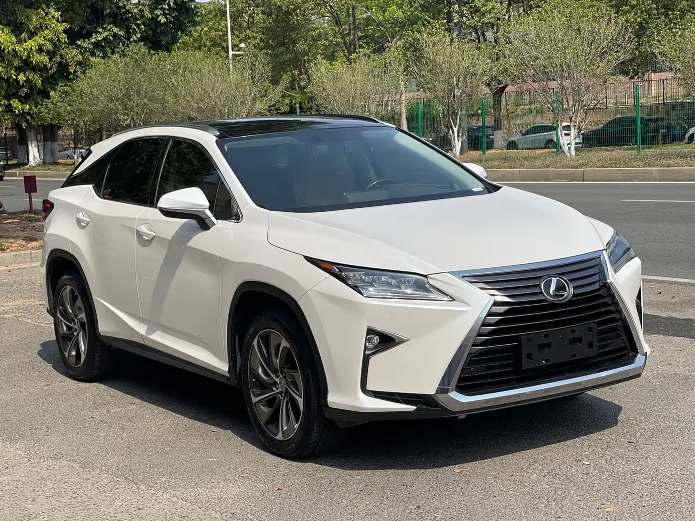 LEXUS RX