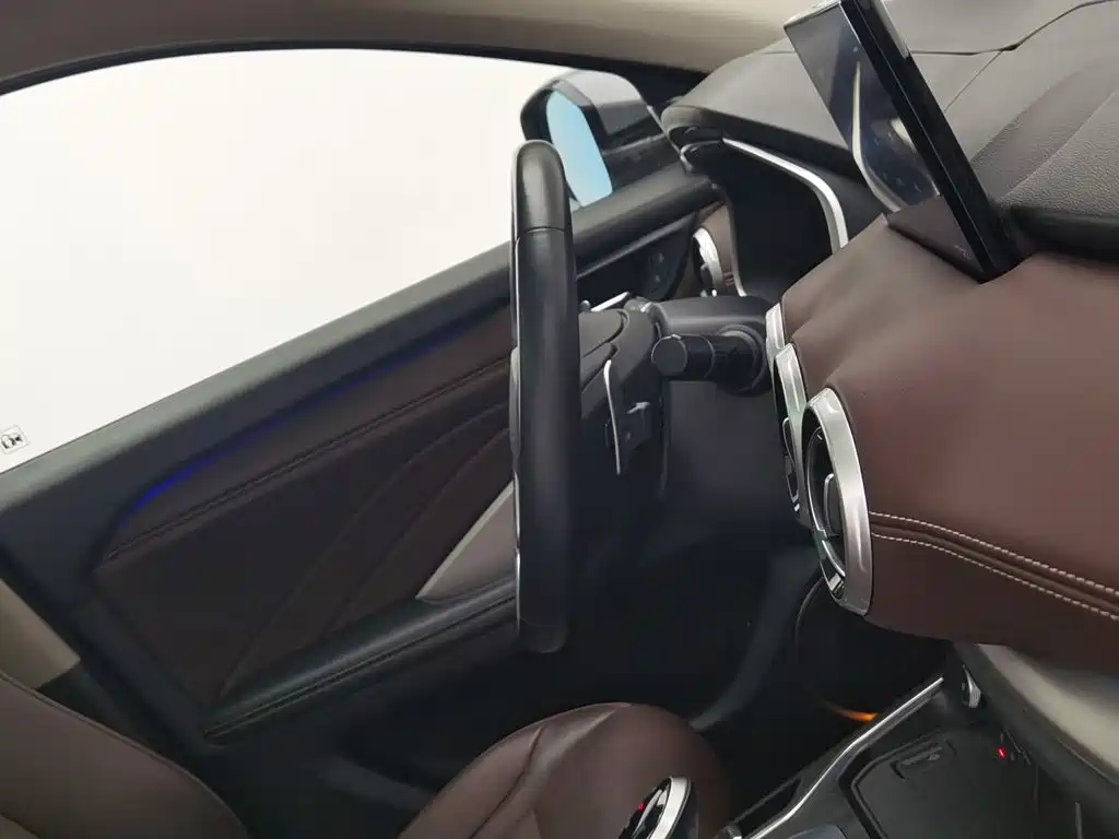 WEY VV6 2019 2018 2.0T 2WD Super Luxury China V