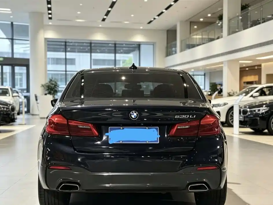 BMW 5 Series 2019 530Li Premium M Sport Package фото 5
