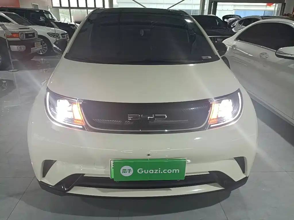 Фото 3 - BYD Dolphin