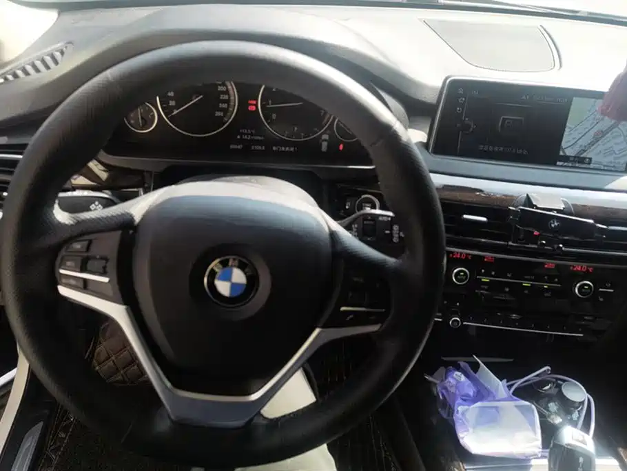 BMW X5 (Import) 2017 xDrive28i фото 12