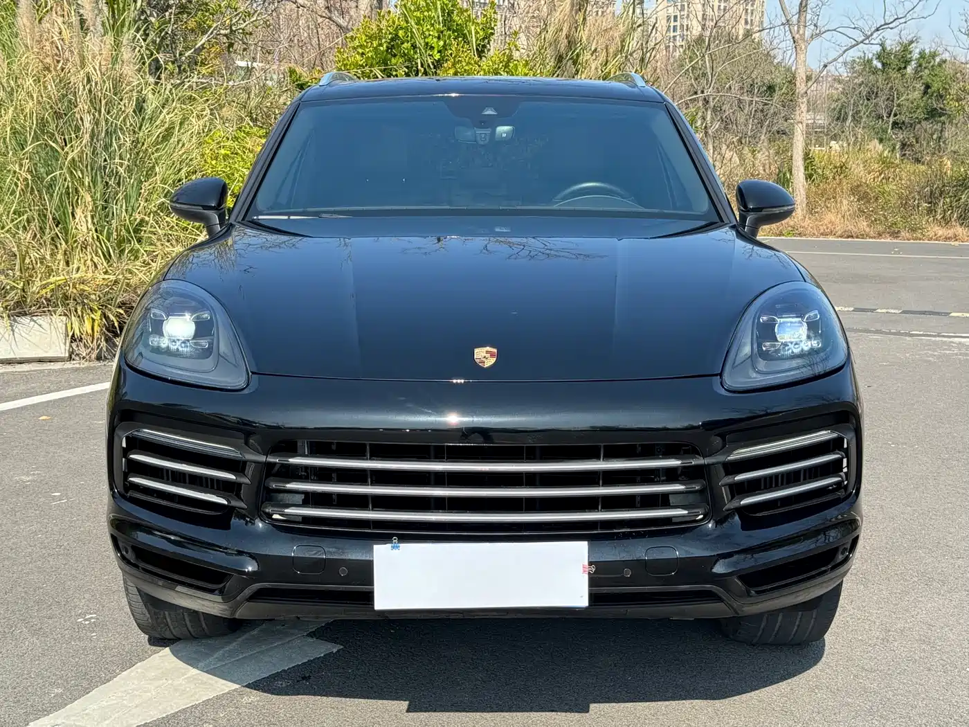 Porsche Cayenne 2019 Cayenne 3.0T фото 2