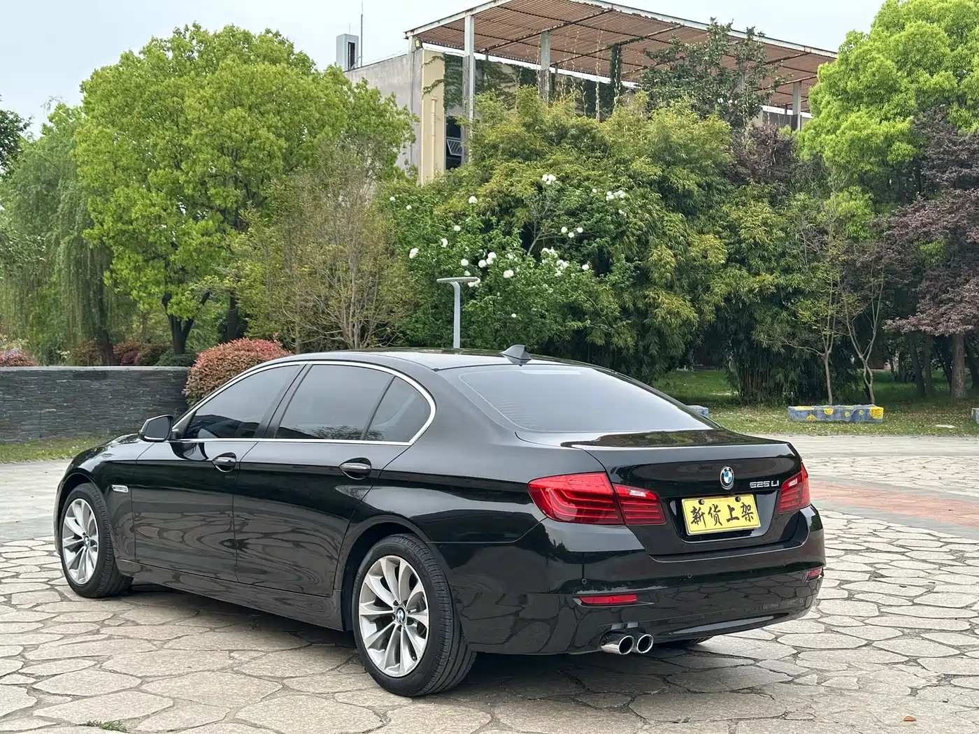 BMW 5 Series 2017 525Li Leading Edition фото 14