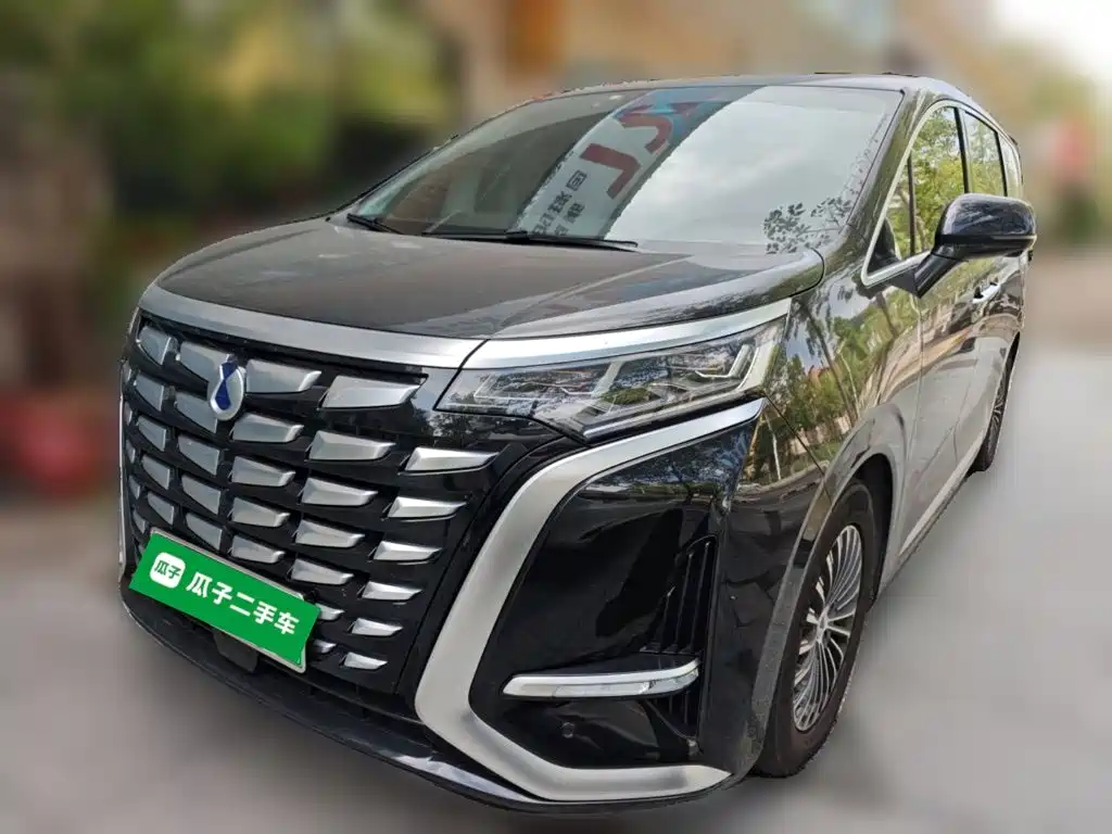  Denza Denza D9 2024 DM-i 980 AWD Premium