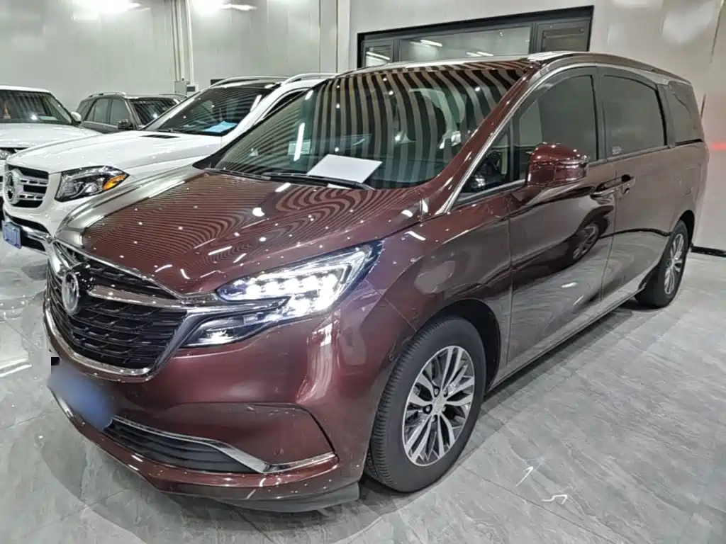 Buick GL8 2022 ES Landmark 653T Premium