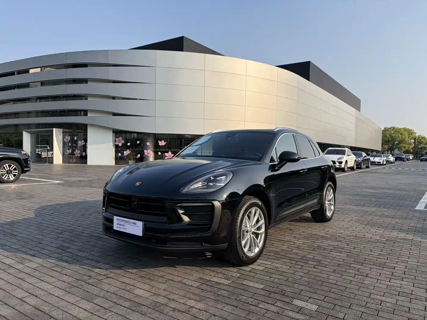 Porsche Macan 2024 Macan 2.0T