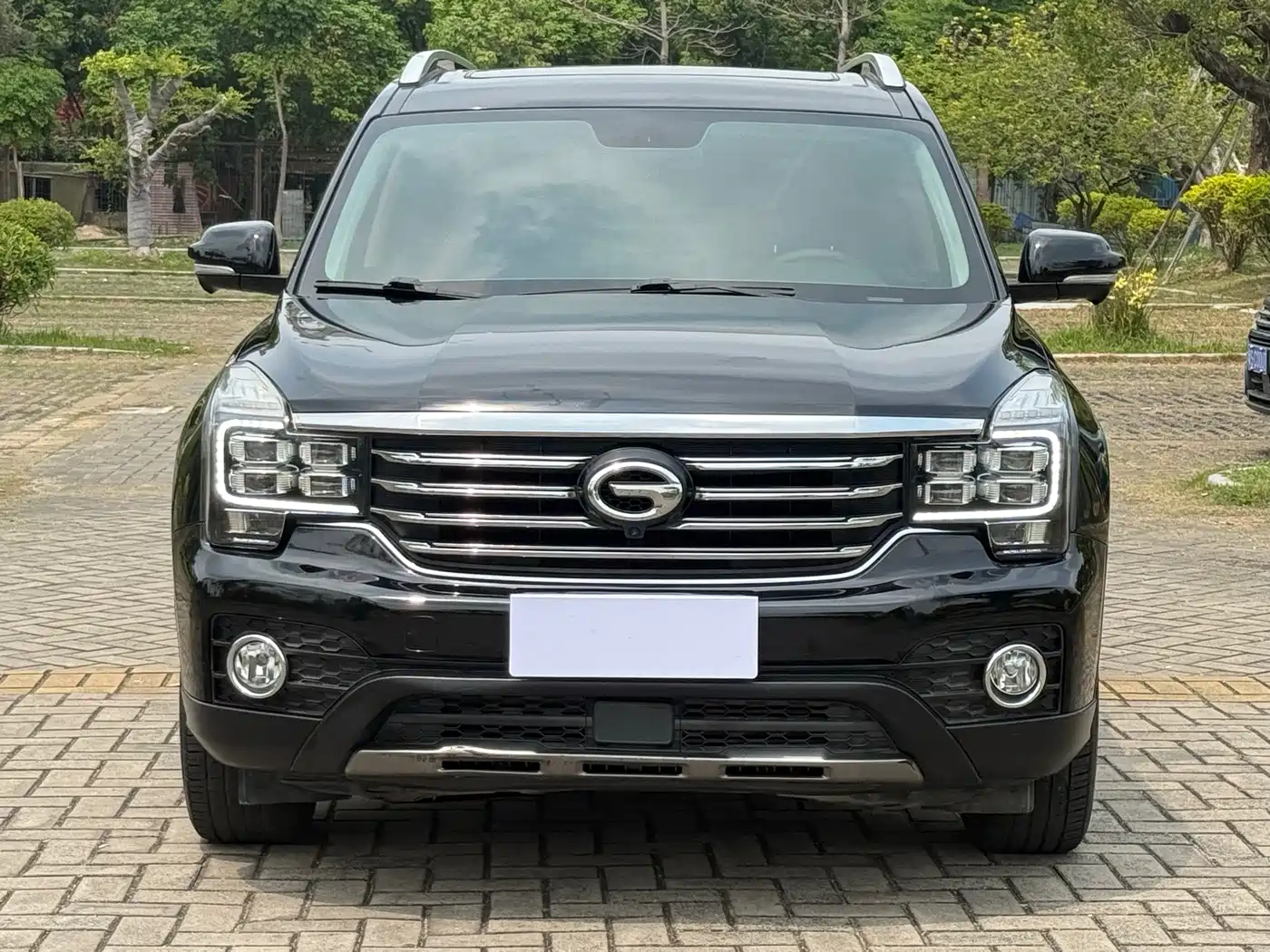 GAC Trumpchi Trumpchi GS7 2017 320T 2WD Luxury Smart Connect фото 2