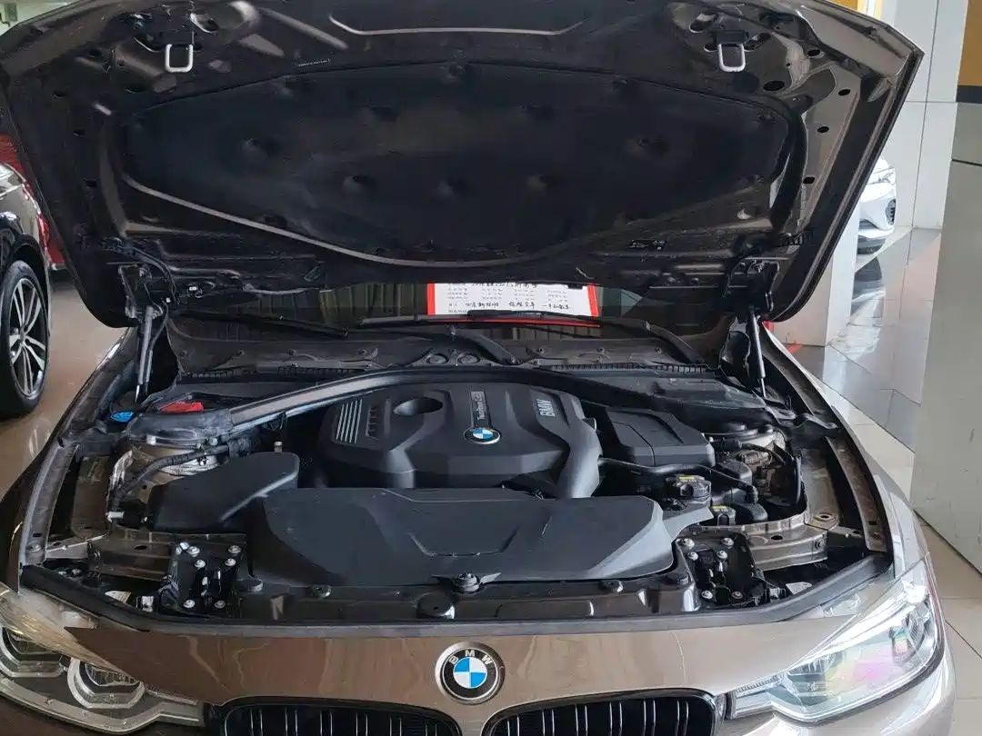 BMW 3 Series 2018 320Li Fashion Style фото 14