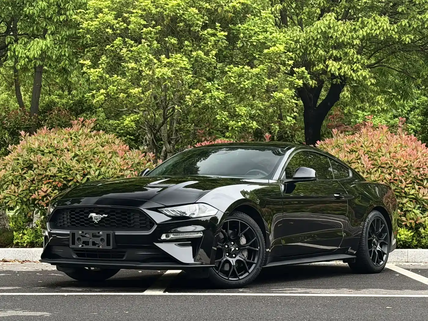 Ford Mustang 2019 2.3L EcoBoost