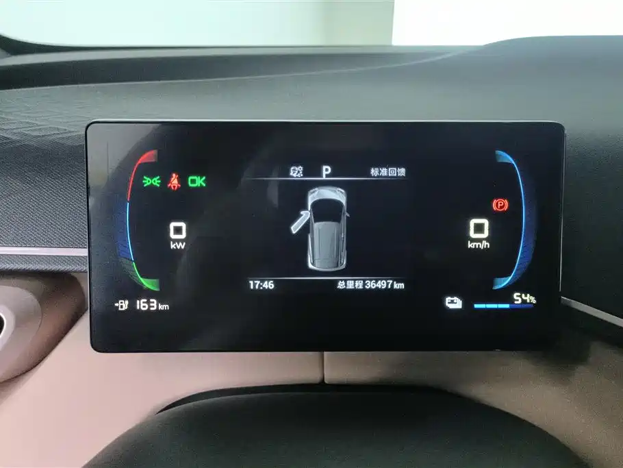 BYD Seagull 2023 Freedom Edition фото 14