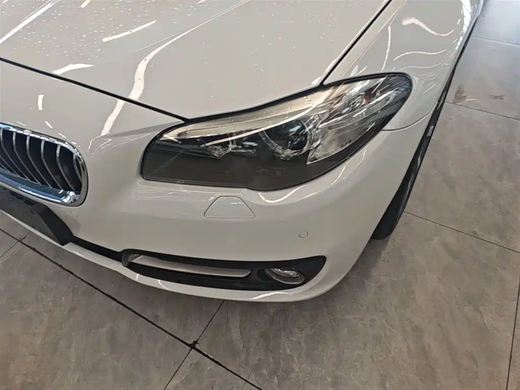 BMW 5 Series 2017 525Li Leading Edition фото 24