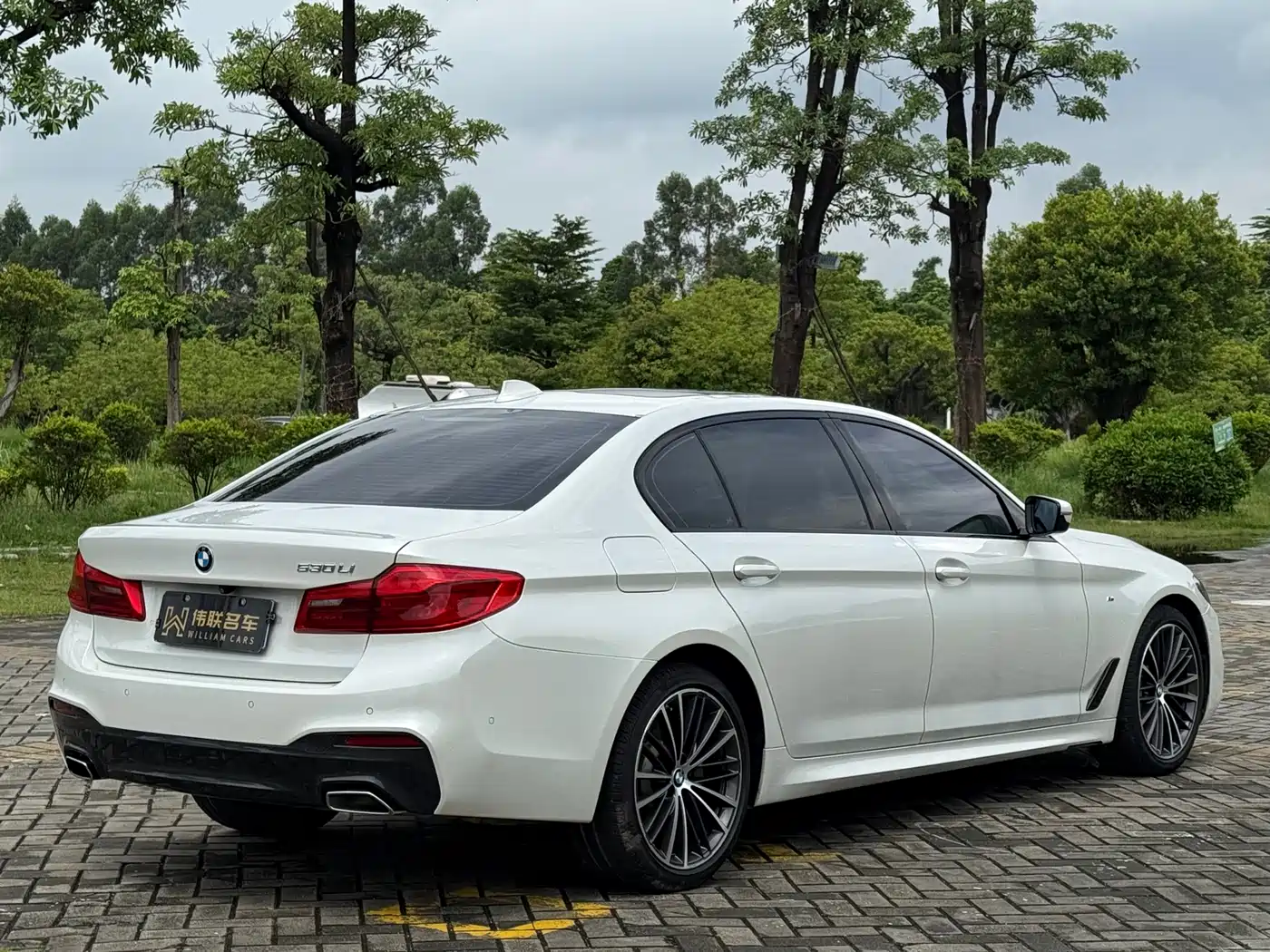BMW 5 Series 2019 Facelift 530Li Leading M Sport Package фото 8