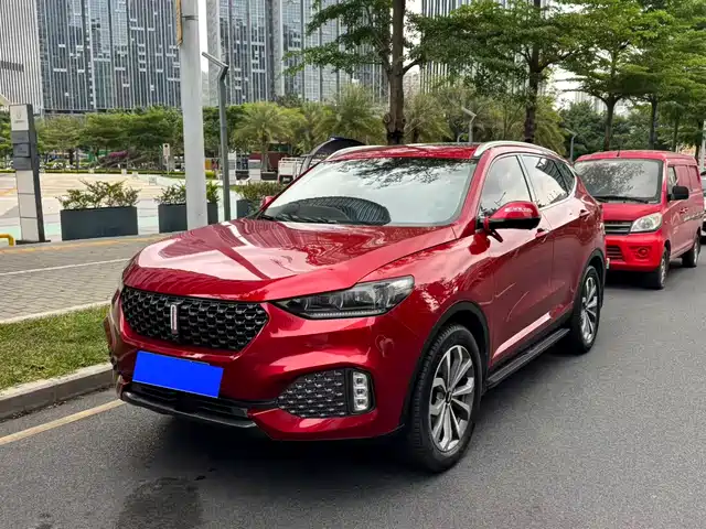 WEI PAI WEI BRAND VV6