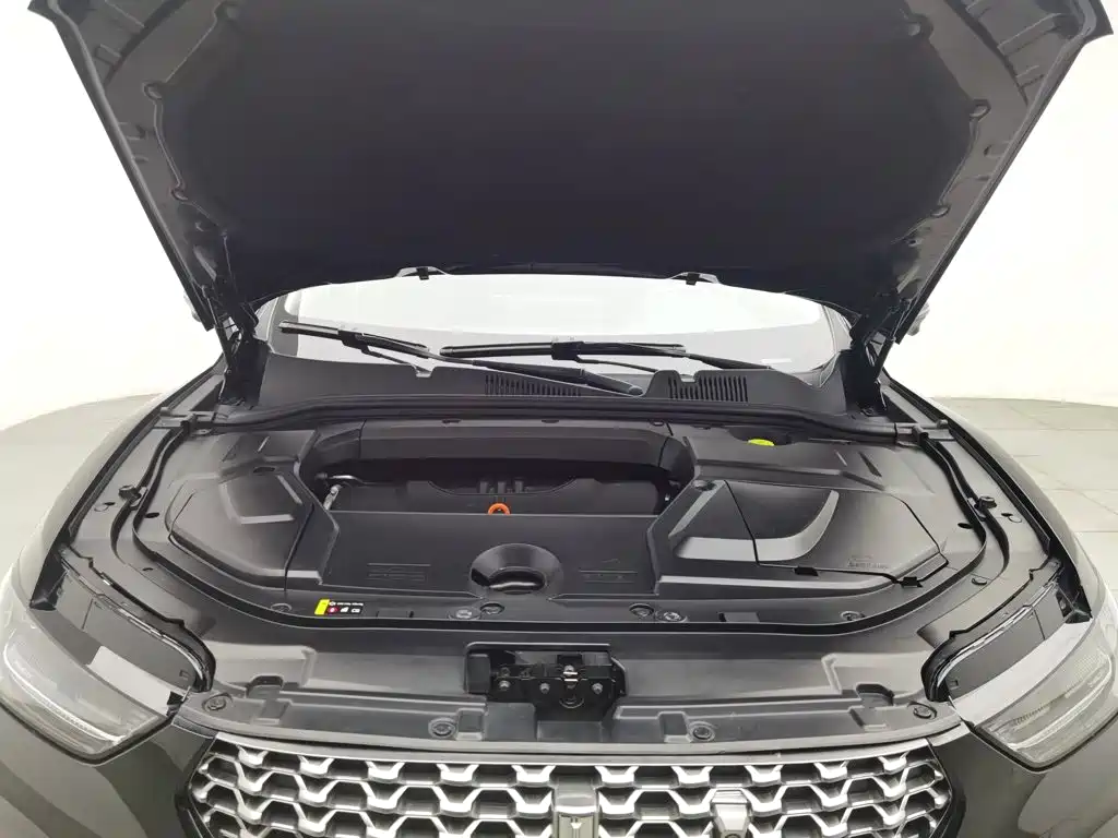 WEY VV5 2021 2021 1.5T 2WD Style Pioneer