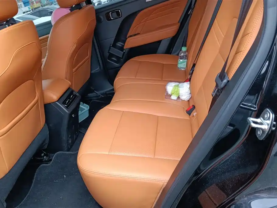 Haval Meng Long NEV 2024 Hi4 102 Pro фото 11