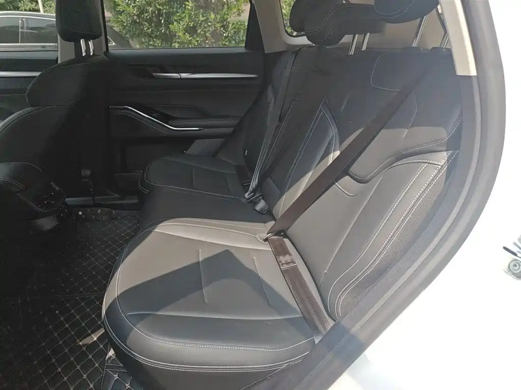 Haval H6 2022 3rd Gen 1.5T Auto 2WD Pro фото 15