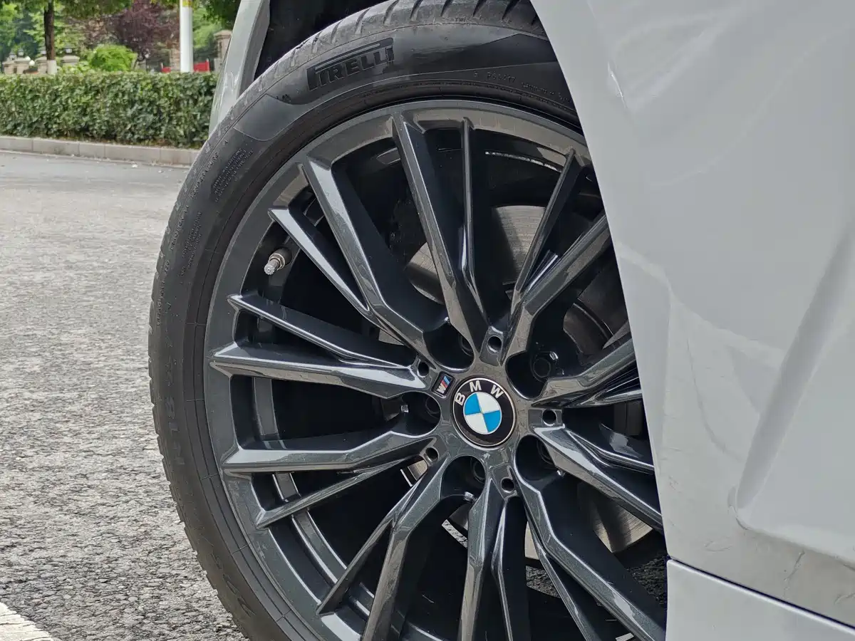 BMW 3 Series 2021 325Li M Sport Night Edition фото 8