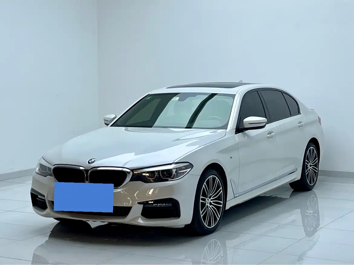 BMW 5 Series 2019 530Li Leading M Sport Package