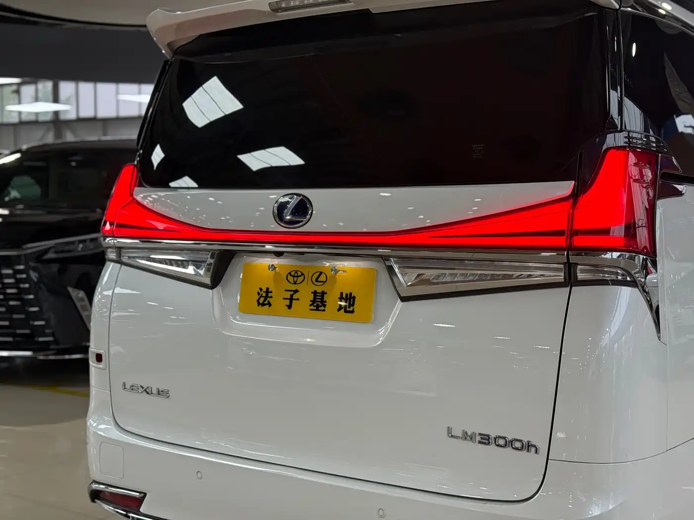Lexus LM 2020 300h Seven-Seater Elegance Edition фото 29