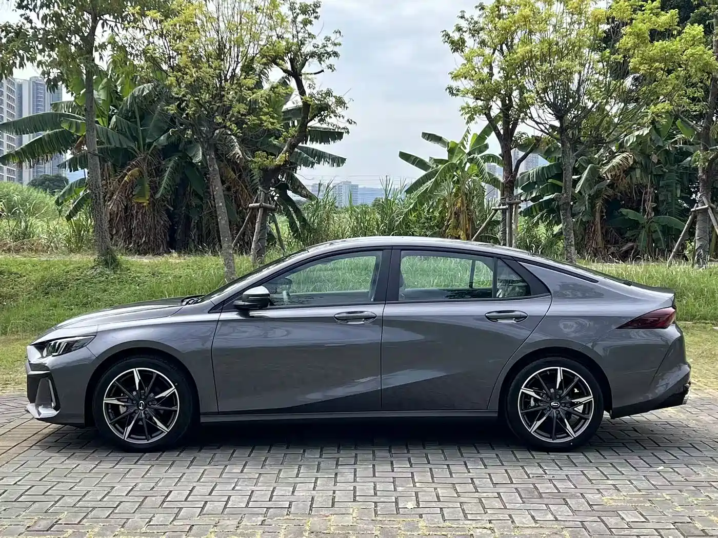 GAC Trumpchi Trumpchi Emkoo 2024 Model 270T DCT Shadow Leopard S Edition фото 8