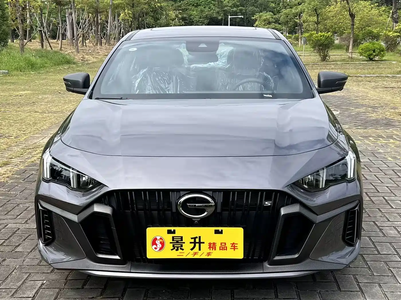 GAC Trumpchi Trumpchi Emkoo 2024 Model 270T DCT Shadow Leopard S Edition фото 2