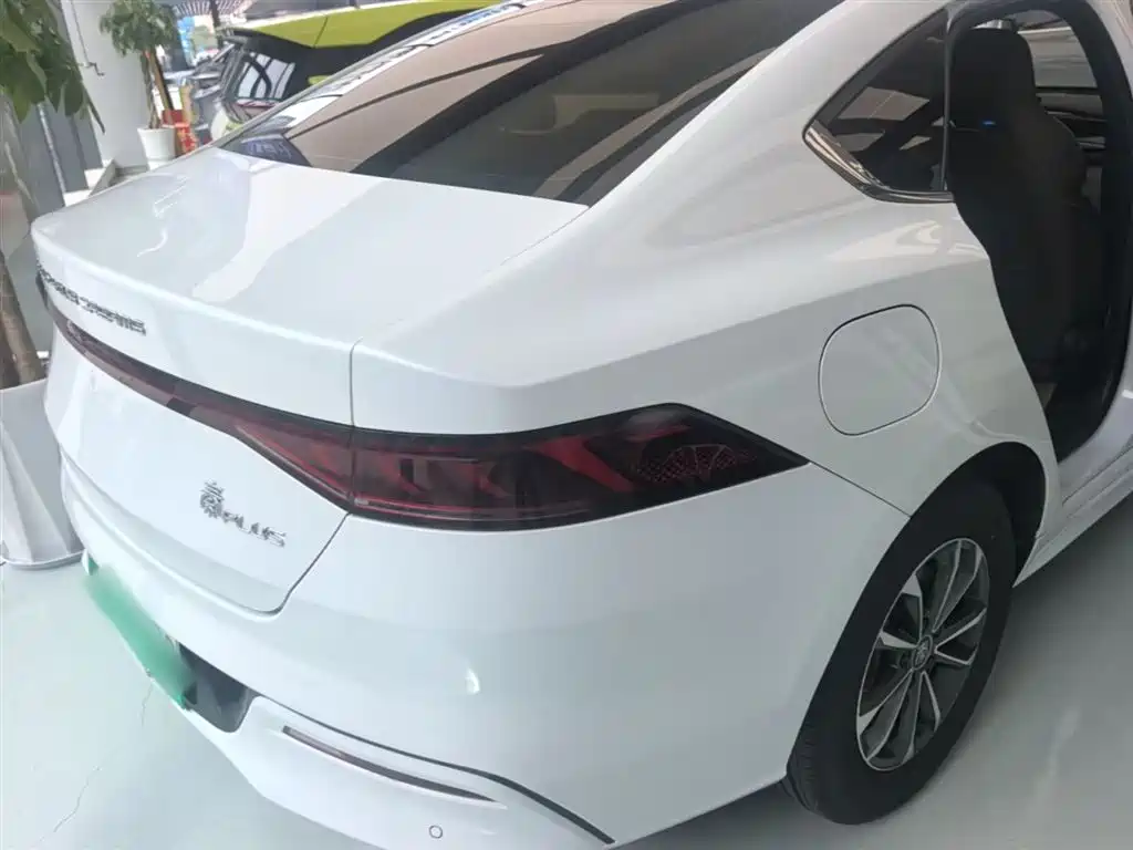 BYD Qin PLUS 2023 Champion Edition DM-i 55KM Leading фото 7