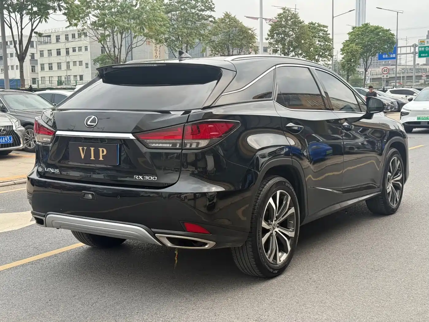 LEXUS RX