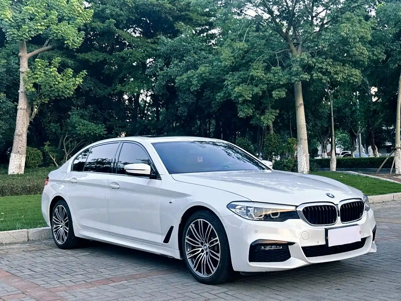 BMW 5 Series 2019 530Li xDrive M Sport Package фото 3