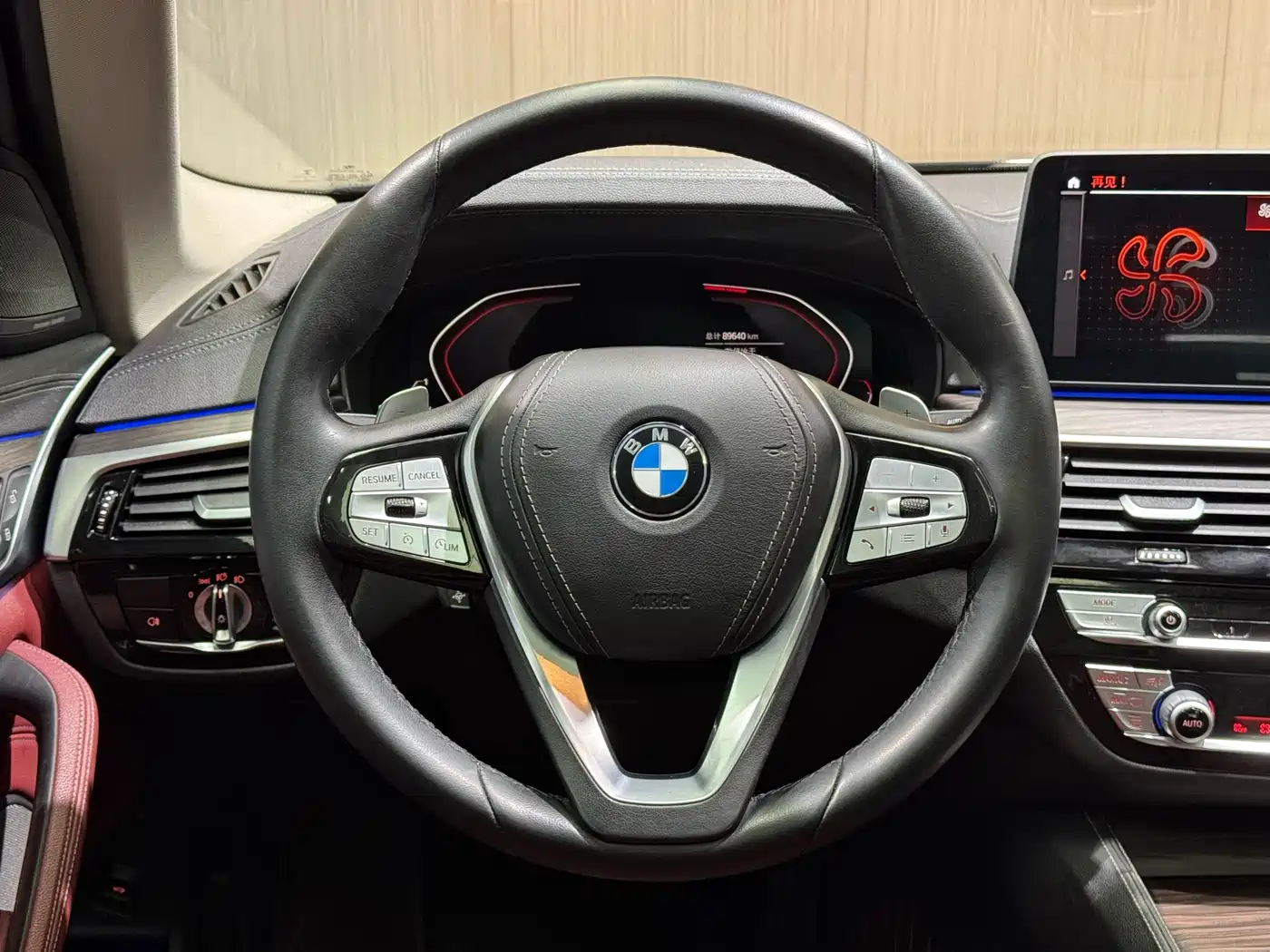 BMW 5 Series 2021 530Li Premium Luxury Package фото 16