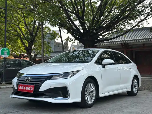 TOYOTA ASIAN LION 2023