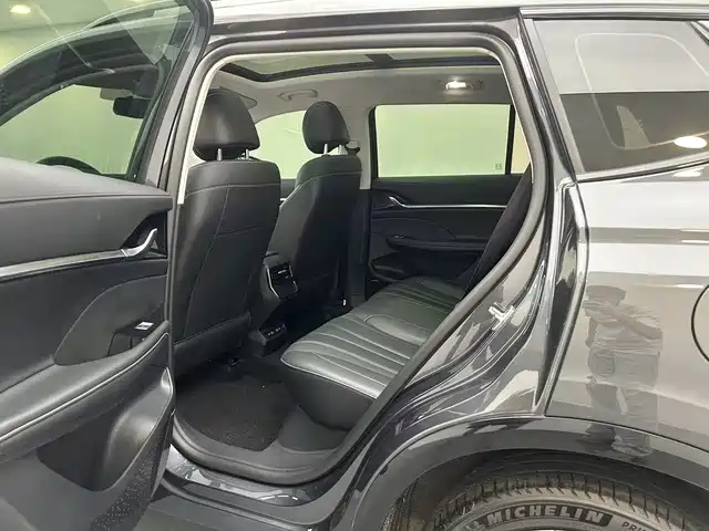 Roewe RX5 MAX 2022 2022 1.5T Auto Promising Premium Edition