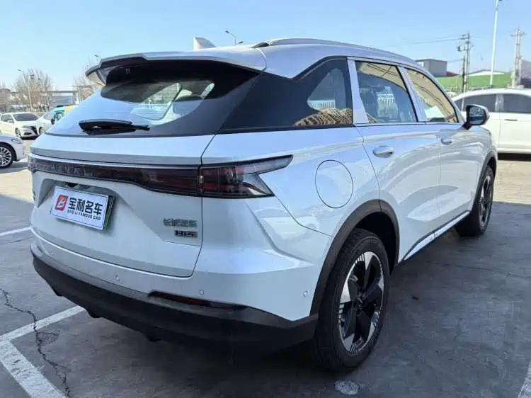 Haval Xiaolong MAX 2025 Hi4 110 Plus Intelligent Driving Edition фото 4