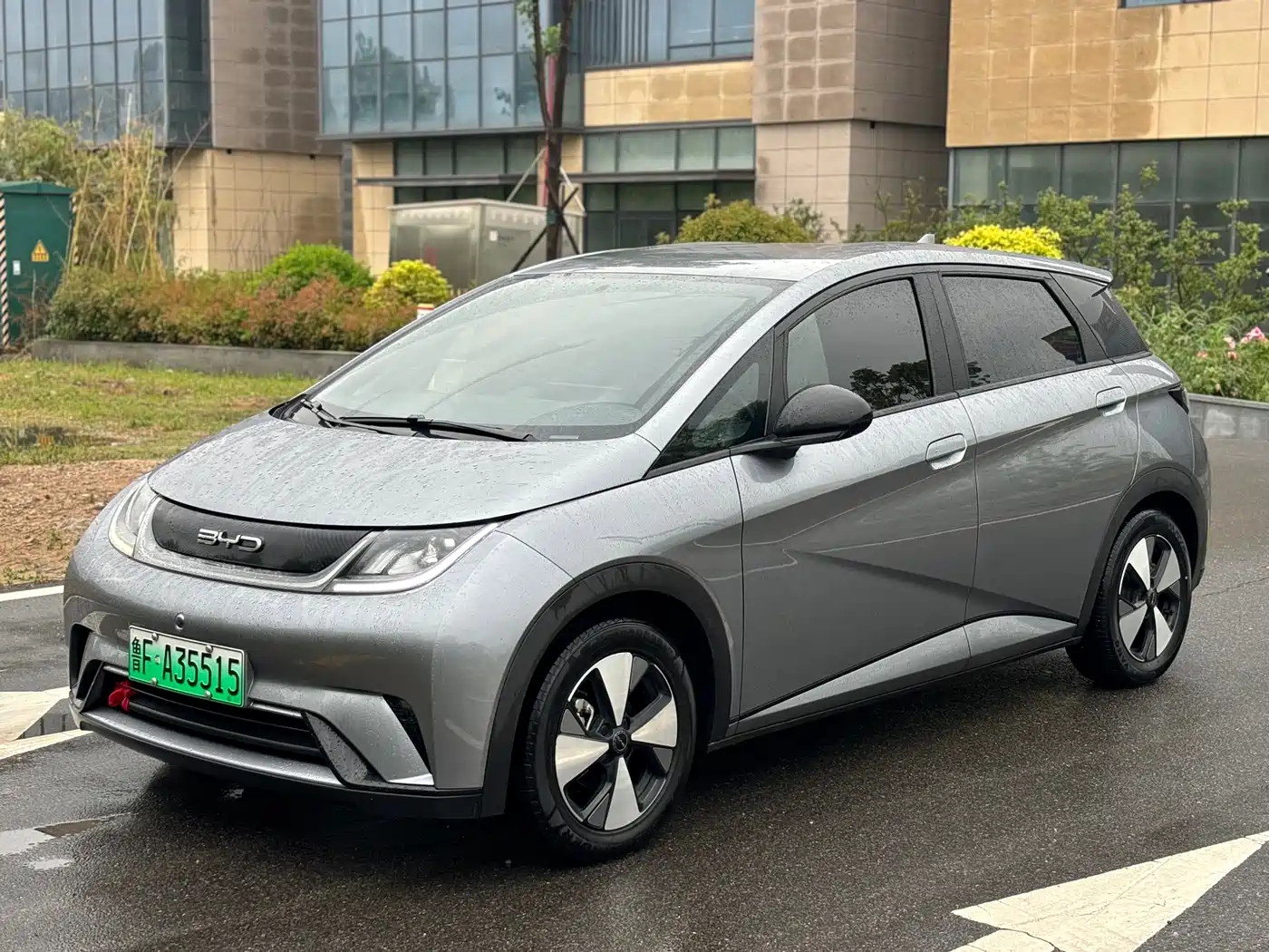 BYD Dolphin 2024 Glory Edition 420km Freedom Edition
