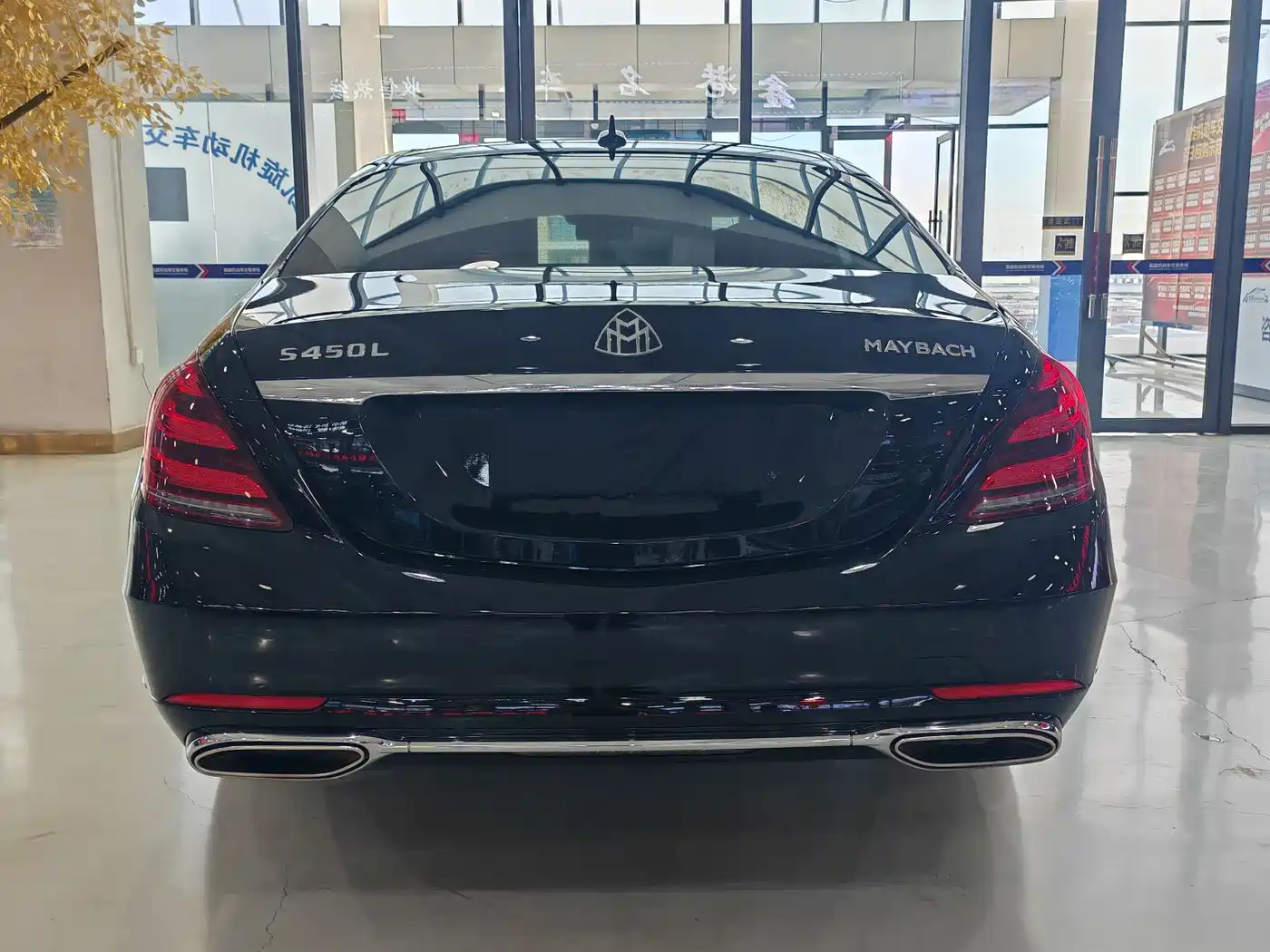 Mercedes-Benz S-Class 2020 S 350 L Business Edition Collector's Version фото 26