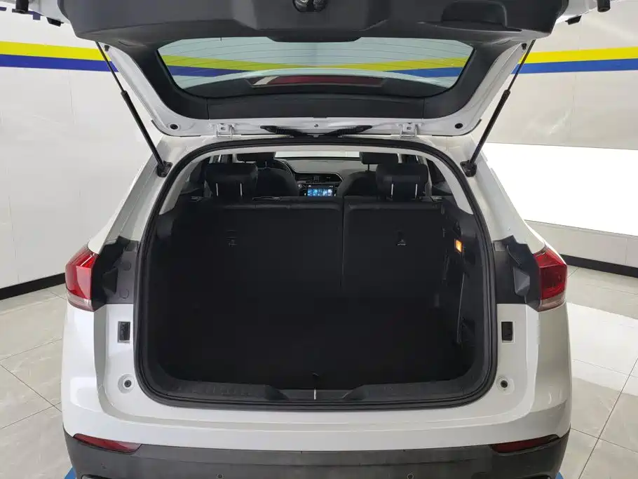 2020 Haval H4