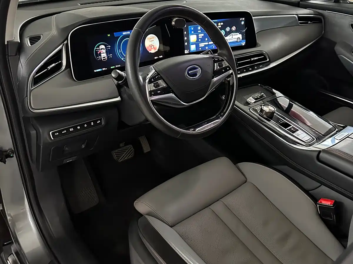 Aion LX 2020 2019 Model 80
