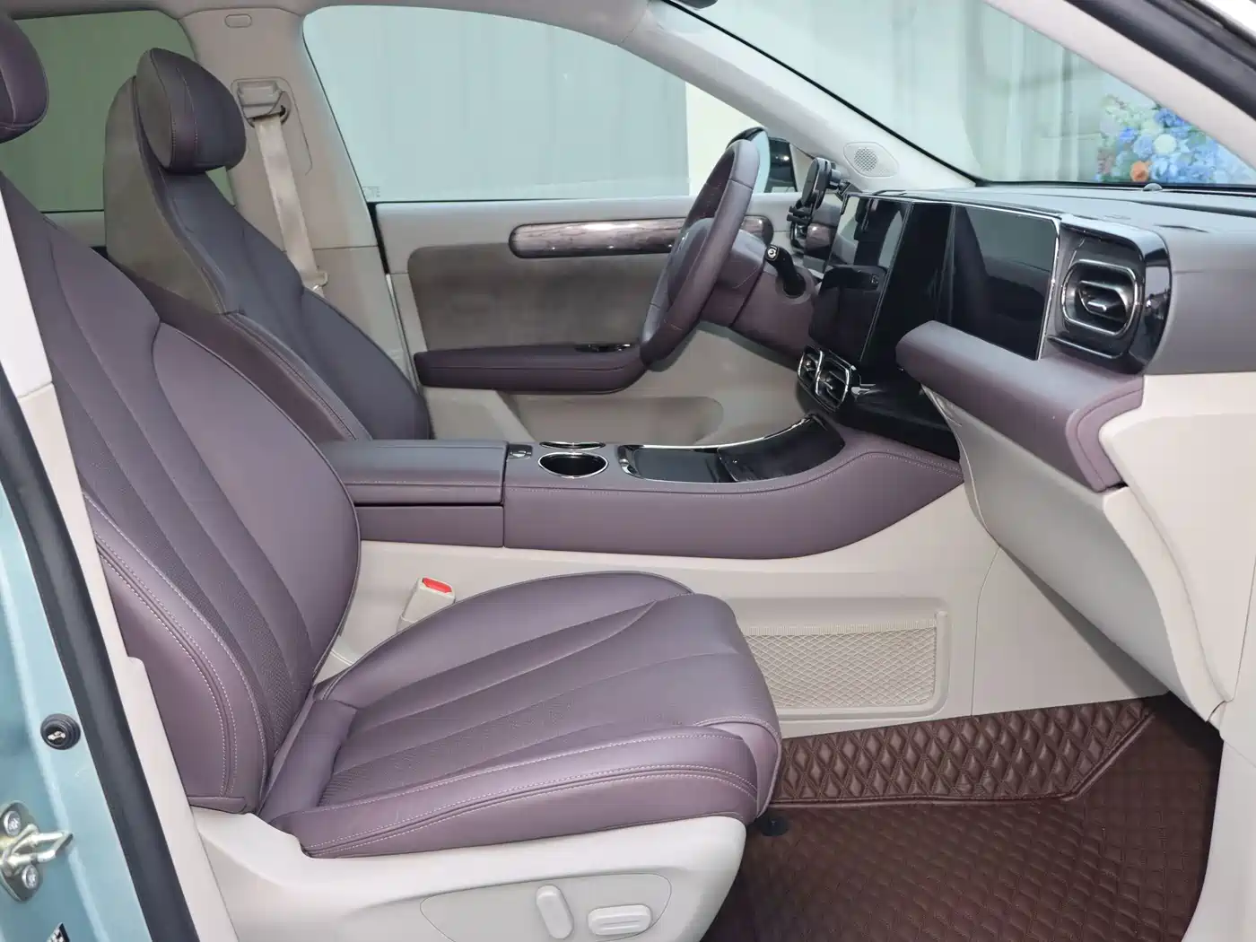 Leapmotor C11 2022 2021 Model Premium Edition