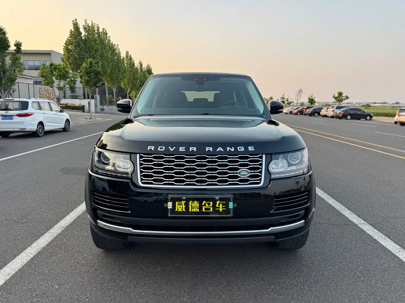 Land Rover Range Rover 2017 3.0 SC V6 Golden Age Edition фото 3